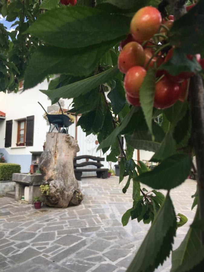 Gasthaus Ekialde Rural Arantza Exterior foto