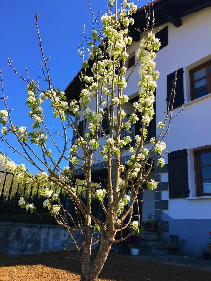 Gasthaus Ekialde Rural Arantza Exterior foto